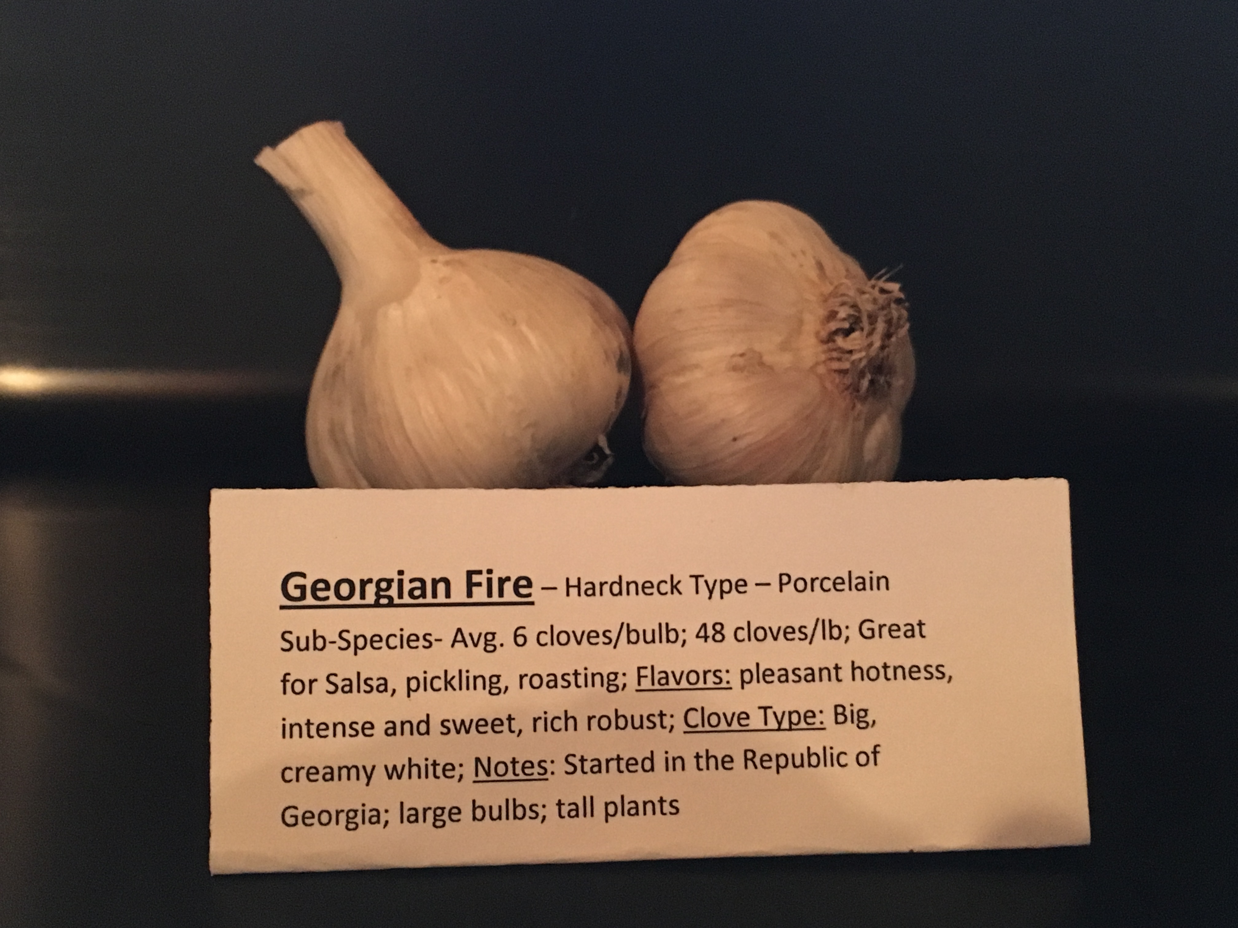 Georgian Fire Garlic