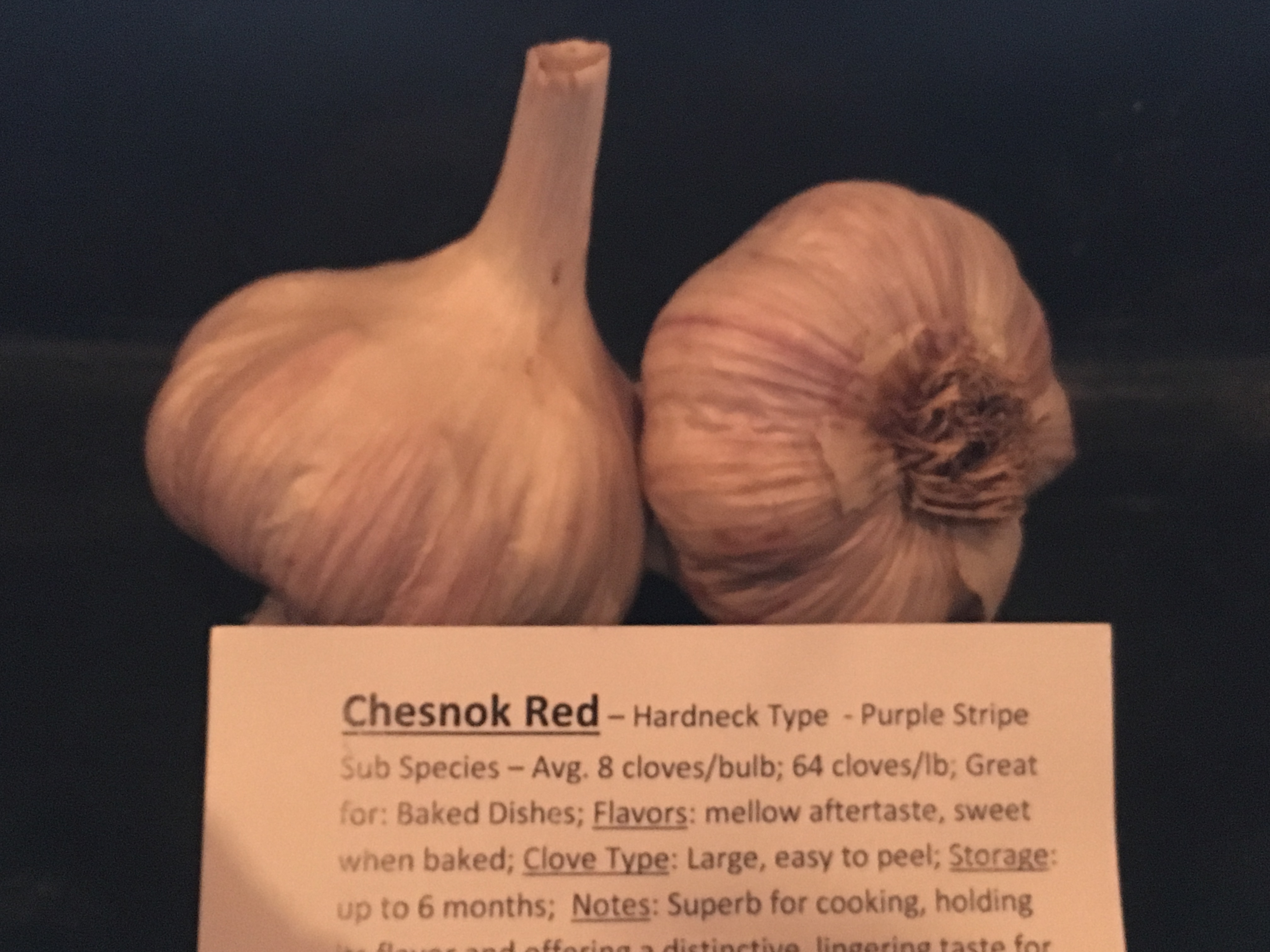 Chesnok Red Garlic