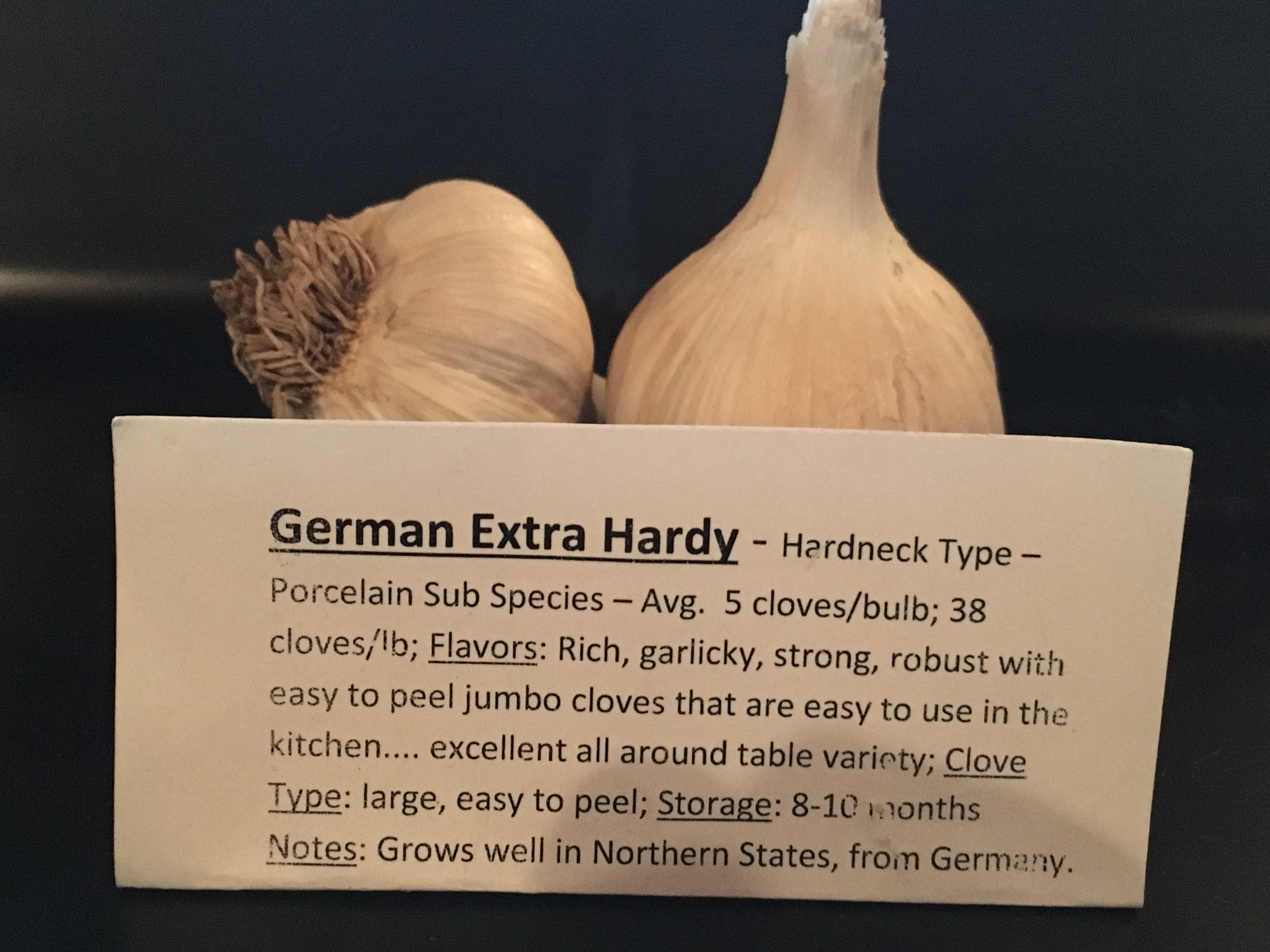 German Extra Hardy