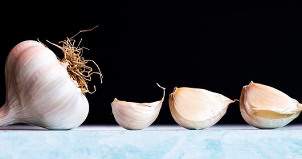 garlic-3583996_640
